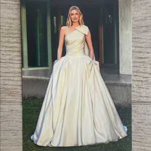 Pronovias Finke Mikado Princess Ball Gown Wedding Dress